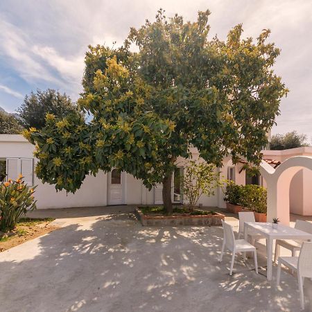 Villa Casa Yucca Forio di Ischia Exterior foto