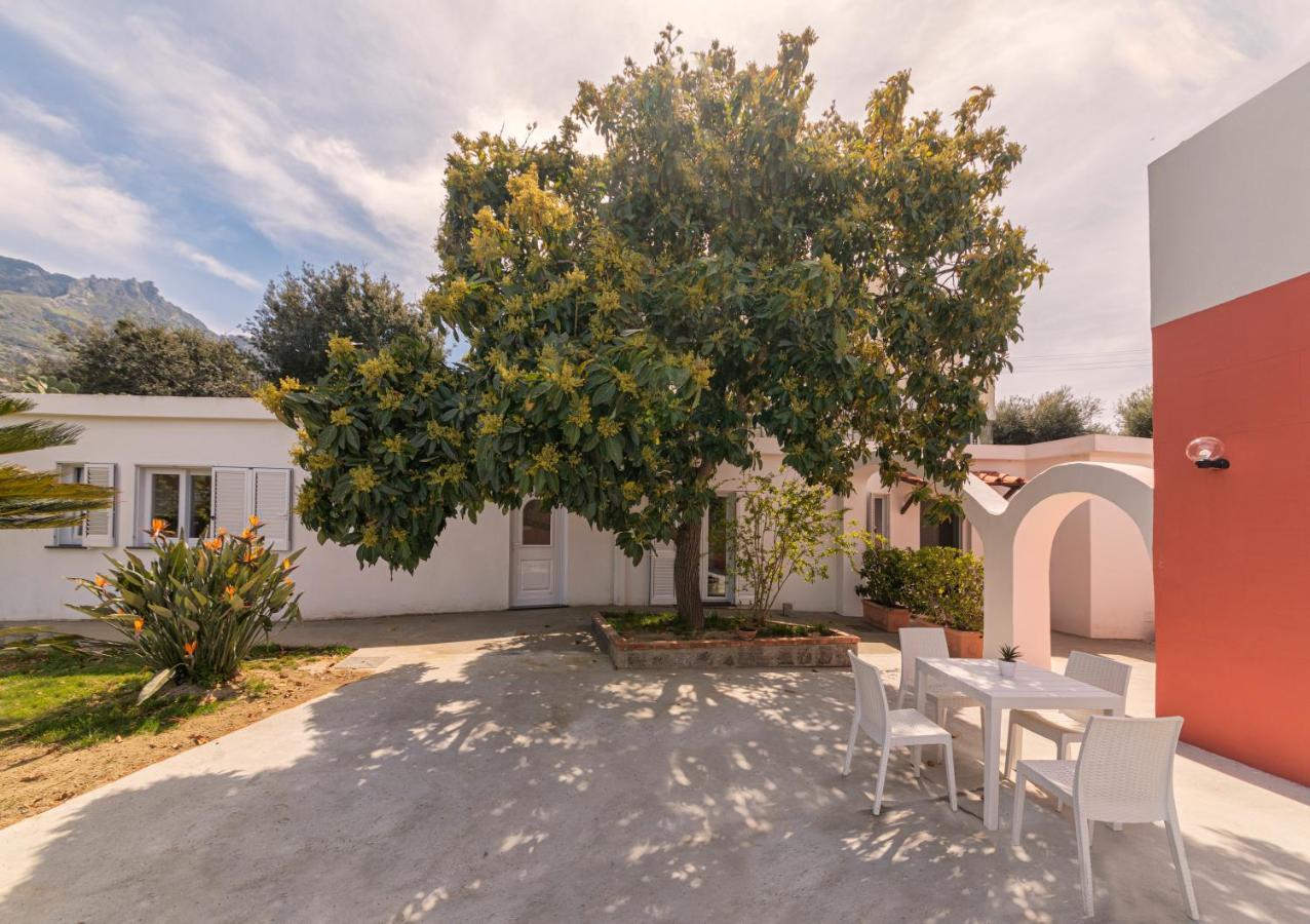 Villa Casa Yucca Forio di Ischia Exterior foto