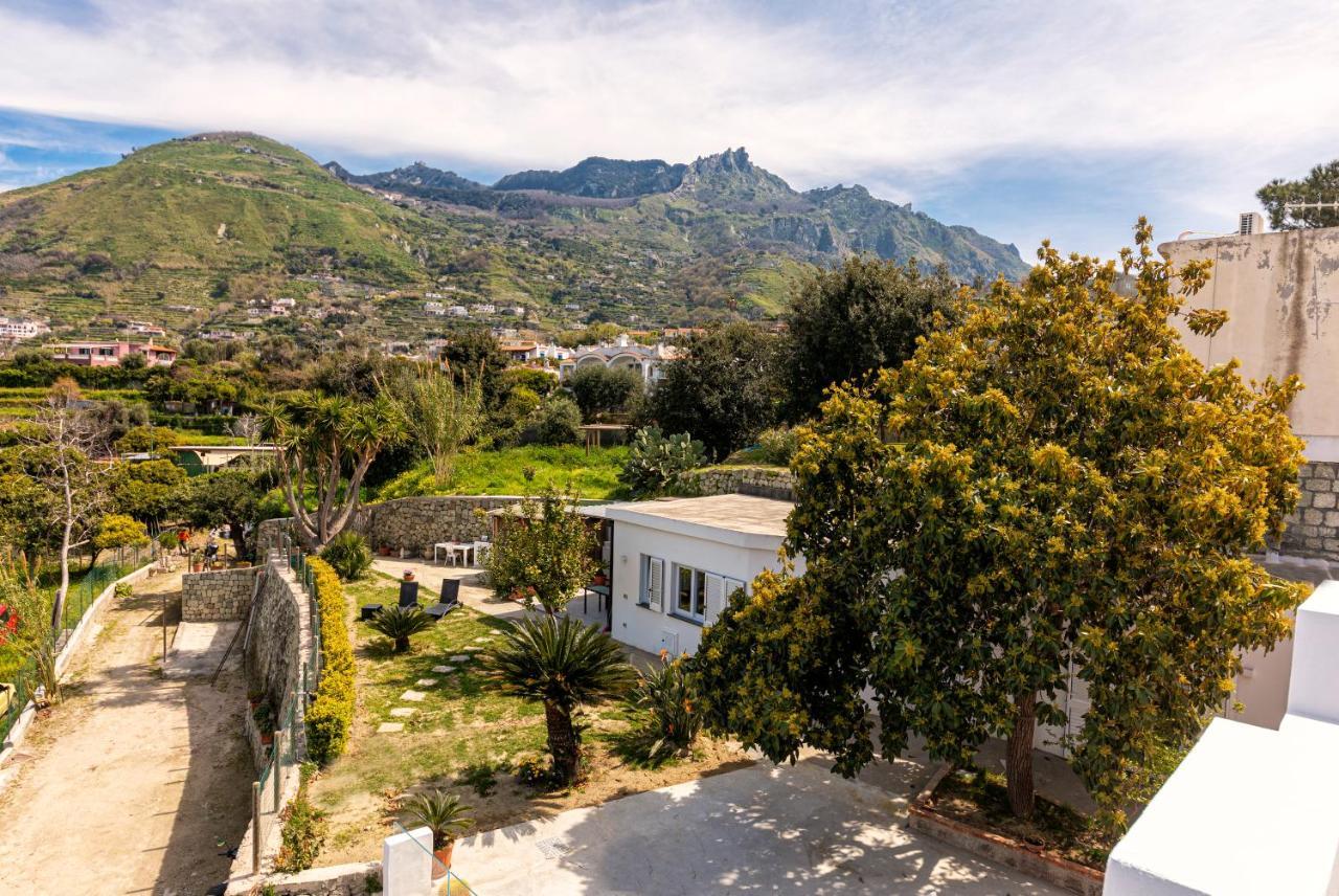 Villa Casa Yucca Forio di Ischia Exterior foto